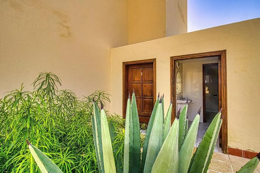 Apartament Relax At Roques Del Conde Costa Adeje  Costa Adeje (Tenerife)